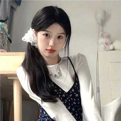 斑马头